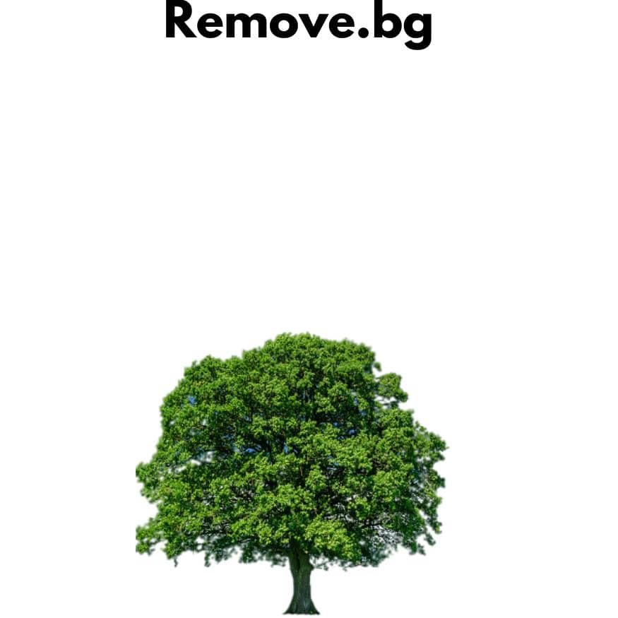 remove.bg removing the background of an image